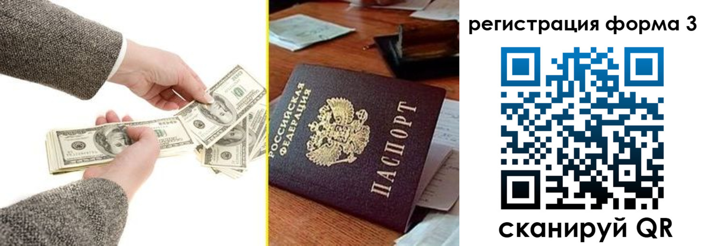 прописка гарантия в Курской области